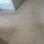 carpet-cleaning-company