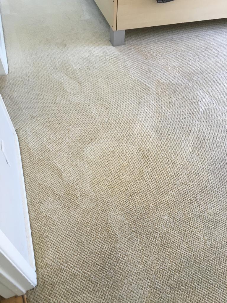 carpet-cleaning-las-vegas