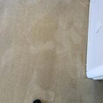 carpet-cleaning-las-vegas