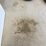 carpet-cleaning-las-vegas