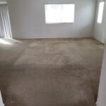 carpet-cleaning-company