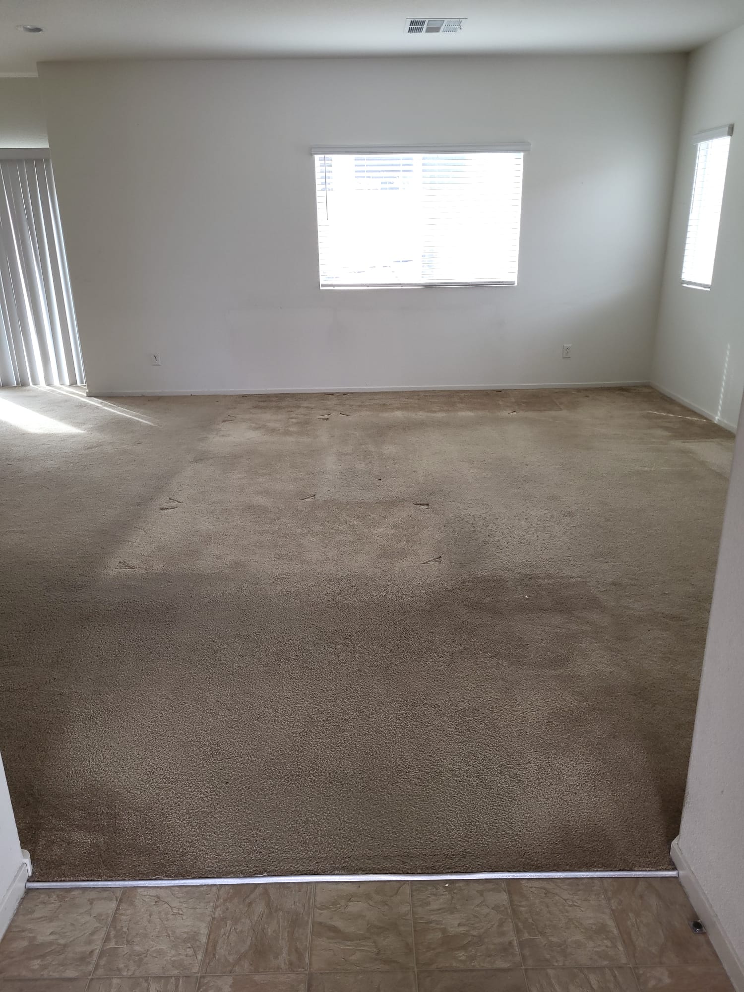 Professional Carpet Cleaning Near Me